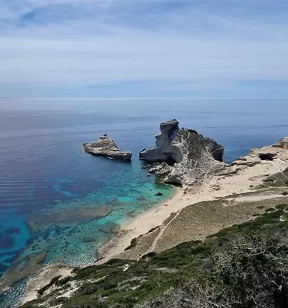 Casa Di Leccia, Superbe A Proximite Immediate Des Plages, Piscine Privee