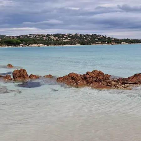 Casa Di Leccia, Superbe A Proximite Immediate Des Plages, Piscine Privee *