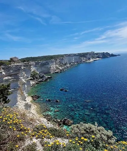 빌라 Casa Di Leccia, Superbe A Proximite Immediate Des Plages, Piscine Privee *