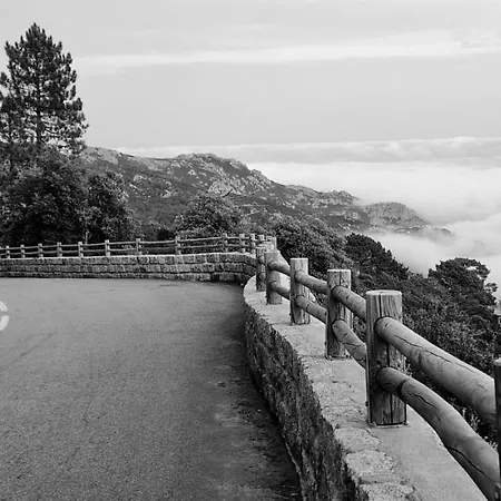 Vila Casa Di Leccia, Superbe A Proximite Immediate Des Plages, Piscine Privee