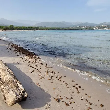 Casa Di Leccia, Superbe A Proximite Immediate Des Plages, Piscine Privee