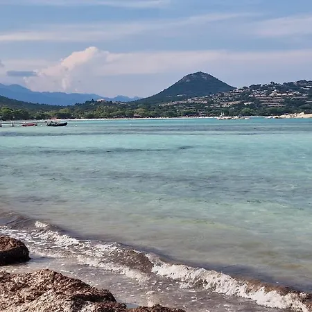 Villa Casa Di Leccia, Superbe A Proximite Immediate Des Plages, Piscine Privee *