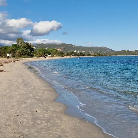 Casa Di Leccia, Superbe A Proximite Immediate Des Plages, Piscine Privee 别墅