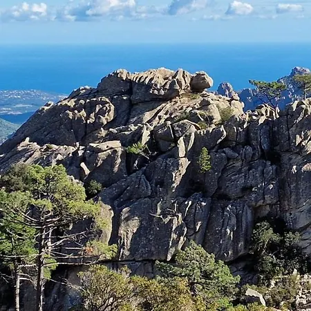 Casa Di Leccia, Superbe A Proximite Immediate Des Plages, Piscine Privee Lecci