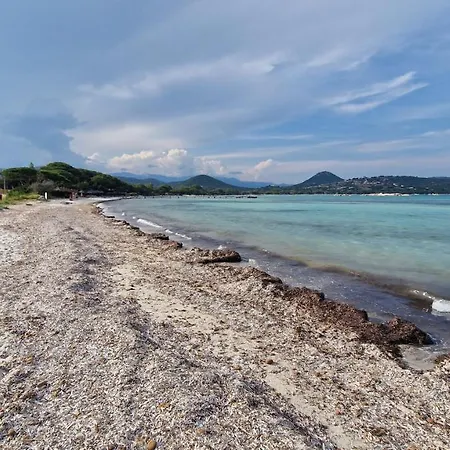 Casa Di Leccia, Superbe A Proximite Immediate Des Plages, Piscine Privee *