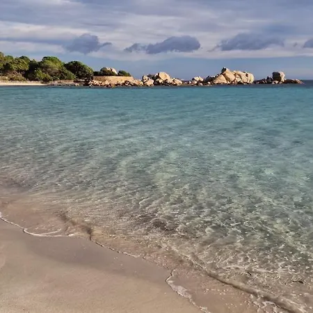 Casa Di Leccia, Superbe A Proximite Immediate Des Plages, Piscine Privee 别墅 里奇