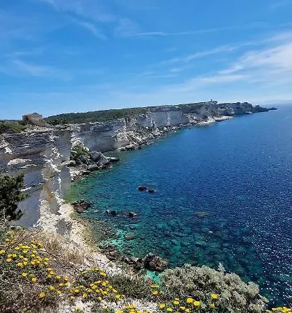 别墅 Casa Di Leccia, Superbe A Proximite Immediate Des Plages, Piscine Privee *