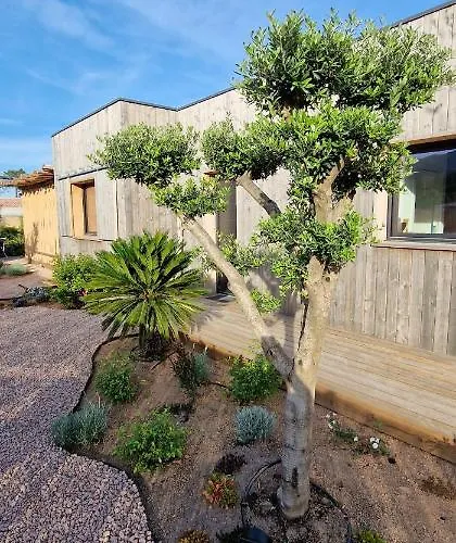 Villa Casa Di Leccia, Superbe A Proximite Immediate Des Plages, Piscine Privee